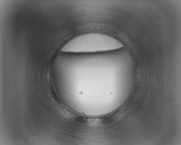 X0000073740363200608031115