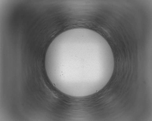X0000073740364200608031115