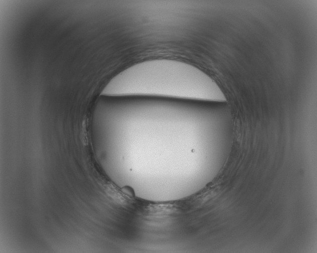 X0000073740378200608031116