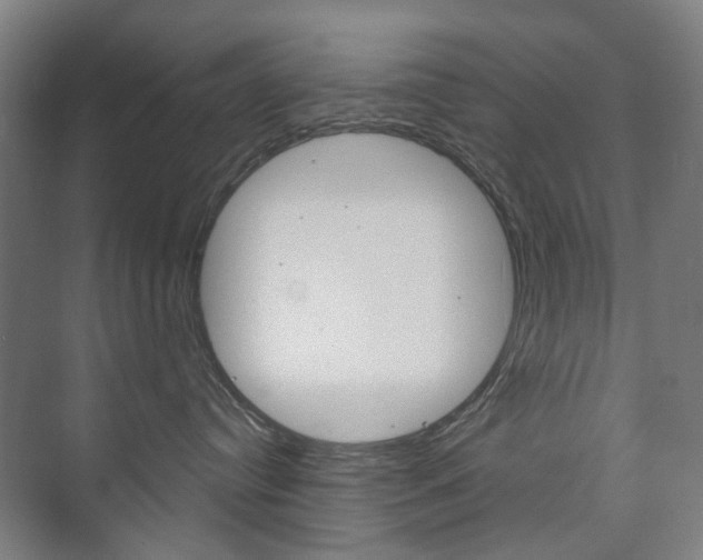 X0000073740384200608031116