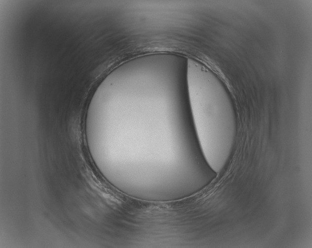 X0000073740386200608031115