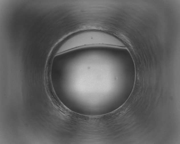 X0000073740388200608031115