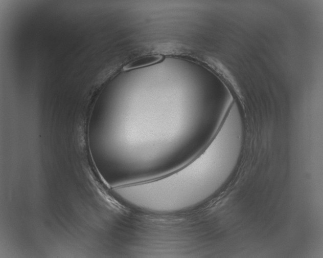 X0000073740393200608031115
