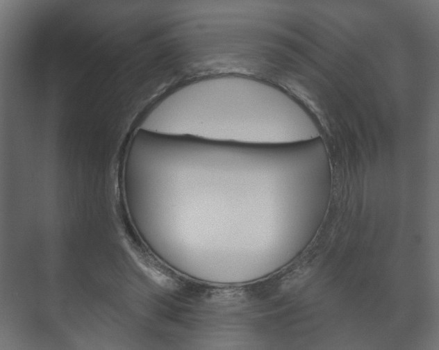 X0000073740398200608031115