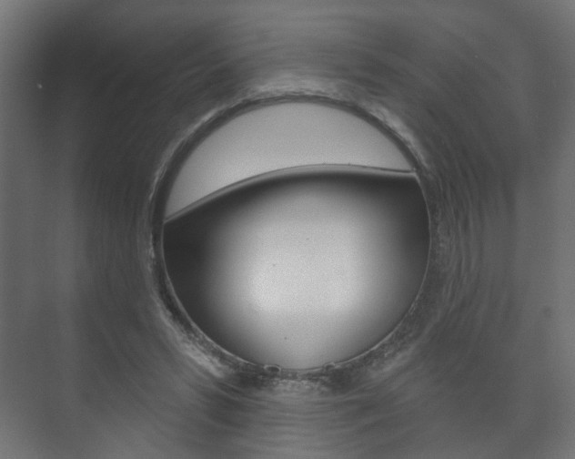 X0000073740399200608031115