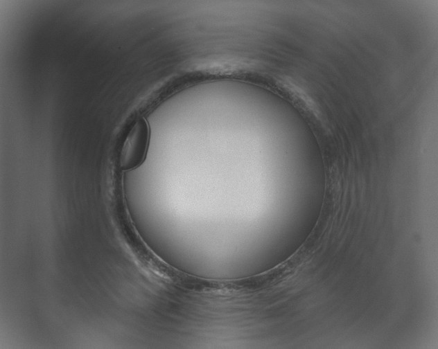 X0000073740400200608031115