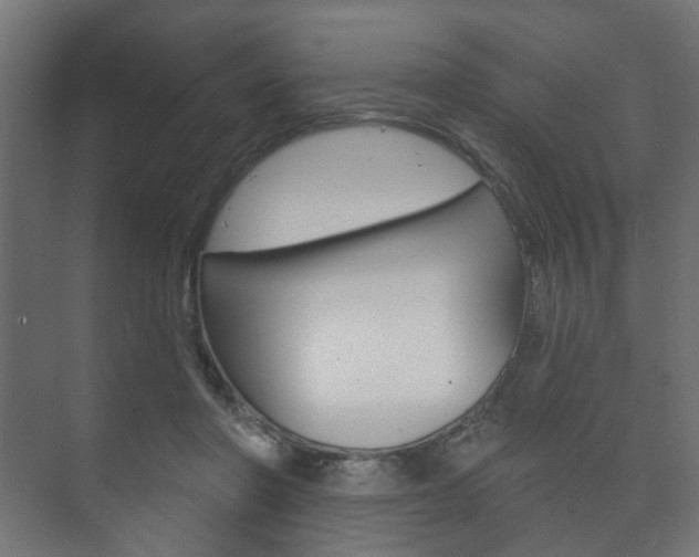 X0000073740406200608031115