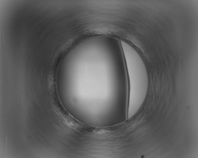 X0000073740407200608031115