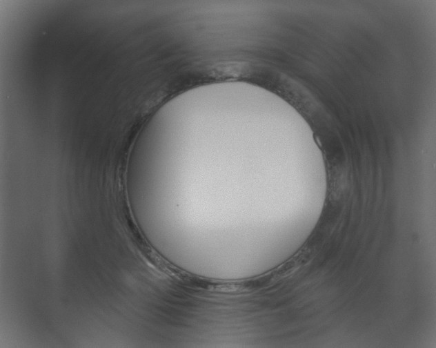 X0000073740414200608031114