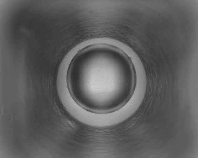 X0000073740416200608031114