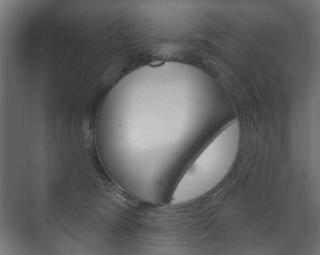 X0000073740420200608031114