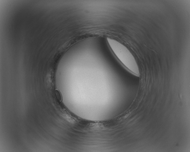 X0000073740424200608031114