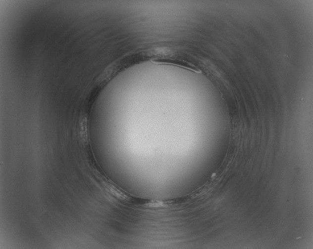 X0000073740425200608031114
