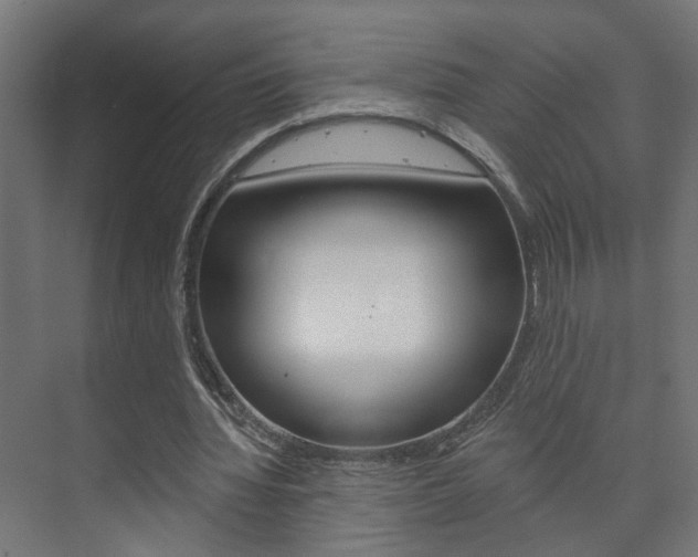 X0000073740436200608031113