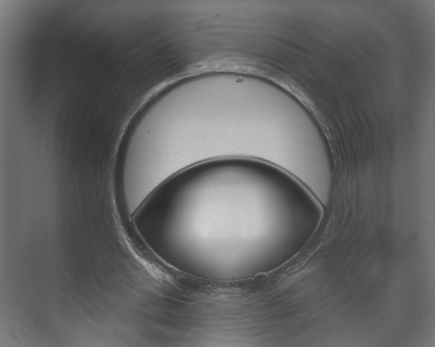 X0000073740438200608031113
