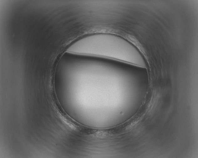 X0000073740441200608031114