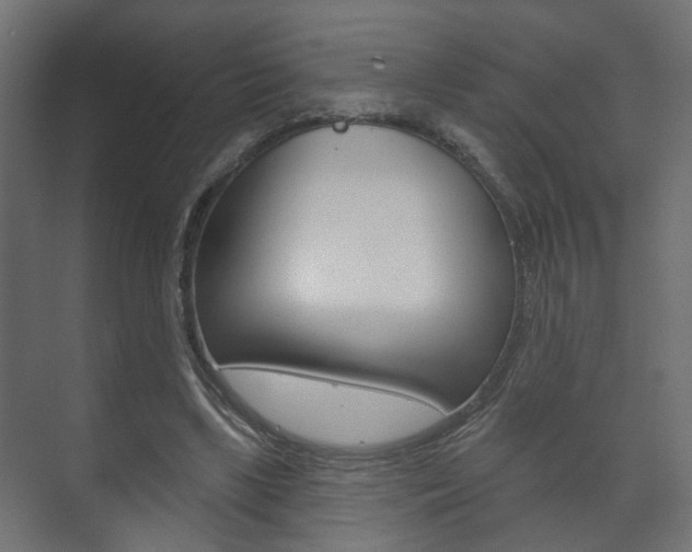 X0000073740443200608031114