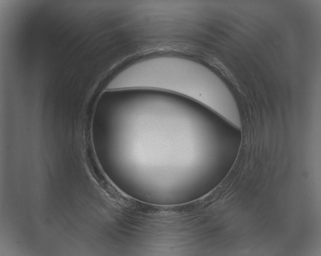 X0000073740444200608031114
