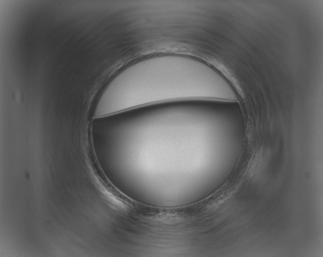 X0000073740445200608031114