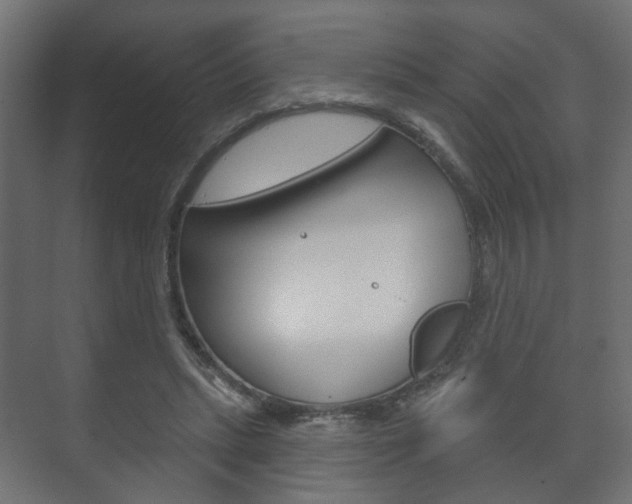 X0000073740447200608031114