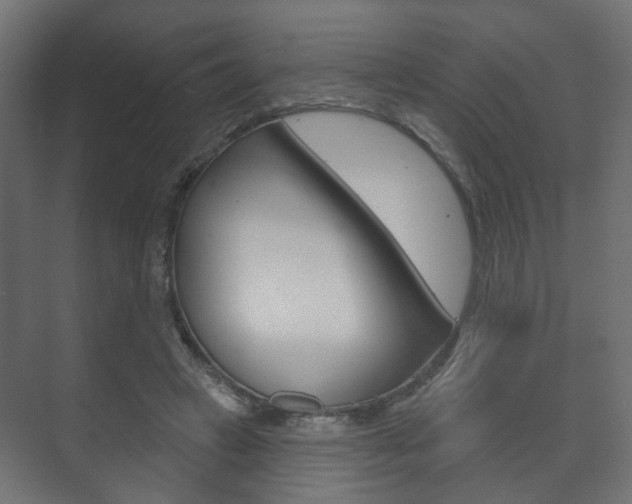 X0000073740449200608031114