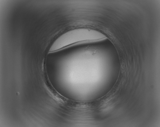 X0000073740454200608031114