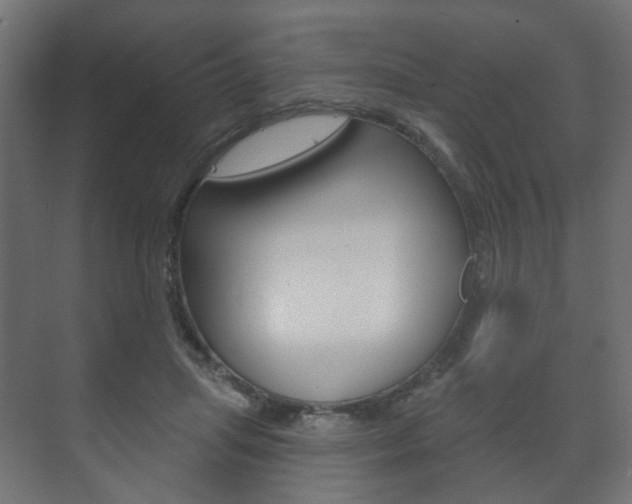 X0000073740455200608031114