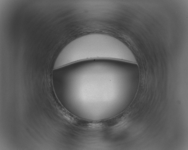X0000073740457200608031114