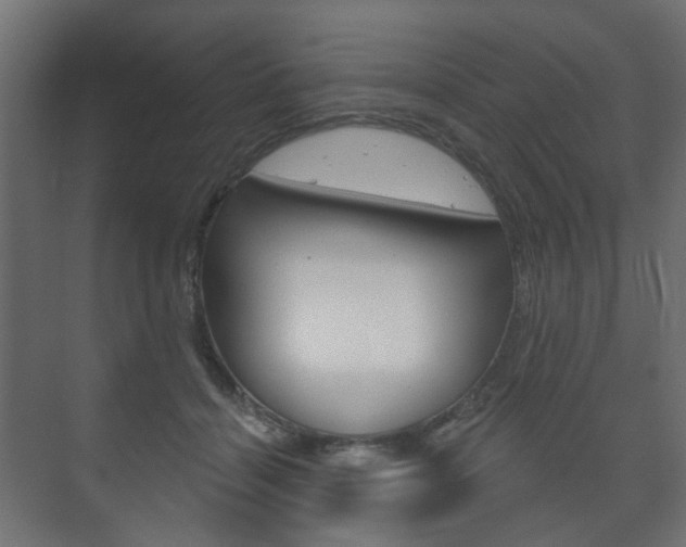X0000073740460200608031114