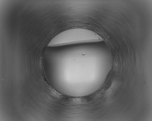 X0000073740473200608031114
