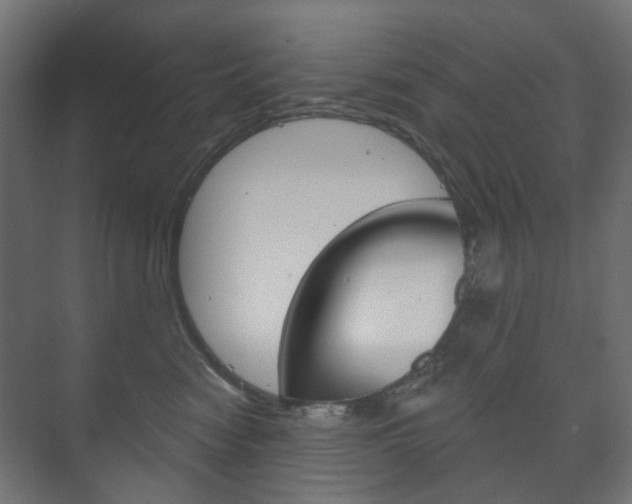 X0000073740474200608031114