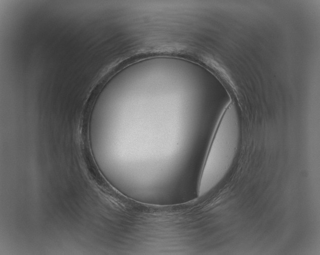 X0000073740483200608031113