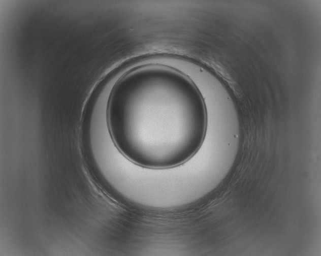 X0000073740488200608031113