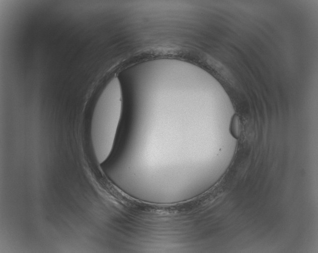 X0000073740494200608031113