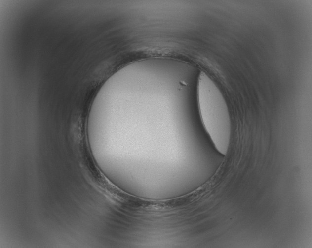 X0000073740498200608031113