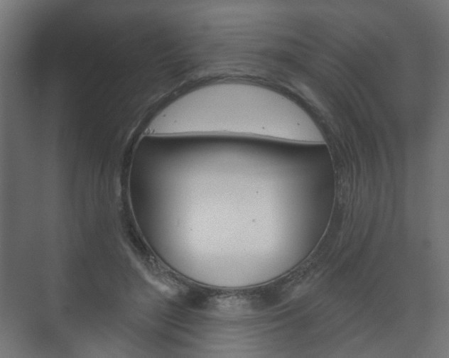 X0000073740500200608031113