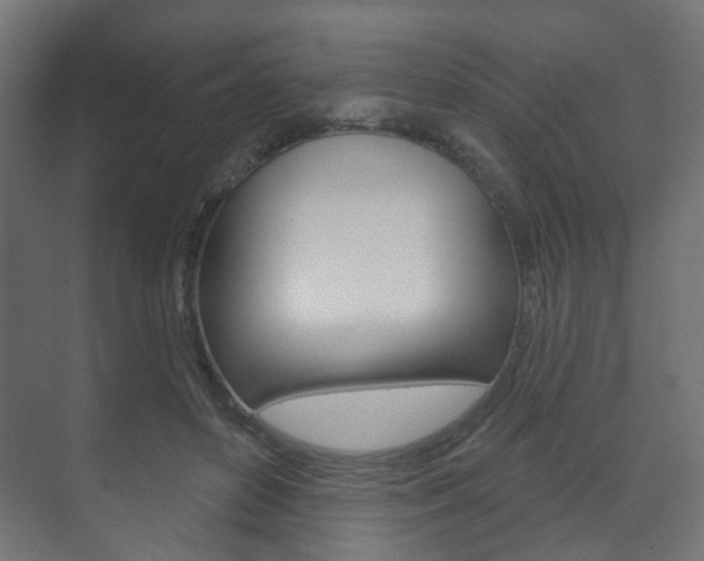 X0000073740504200608031113