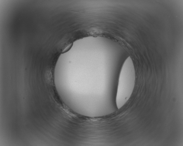 X0000073740523200608031113
