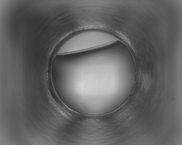 X0000073740535200608031112