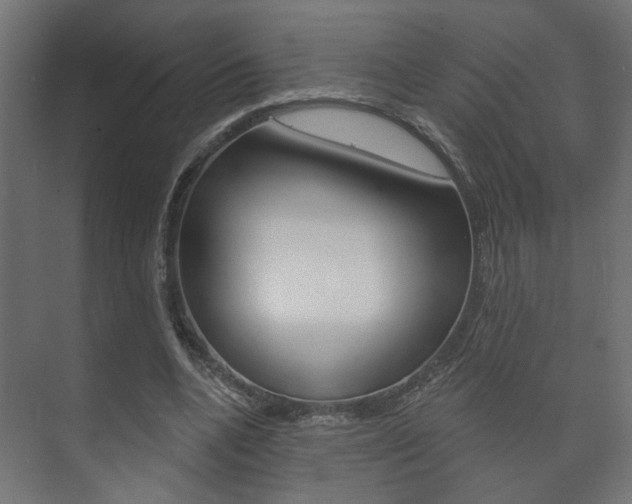 X0000073740536200608031112