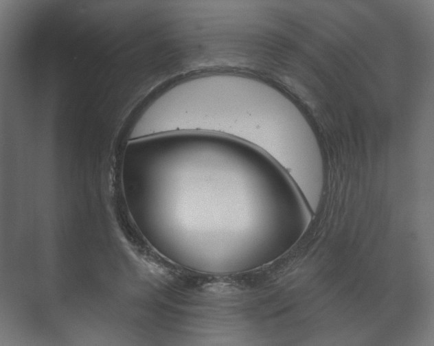 X0000073740544200608031112