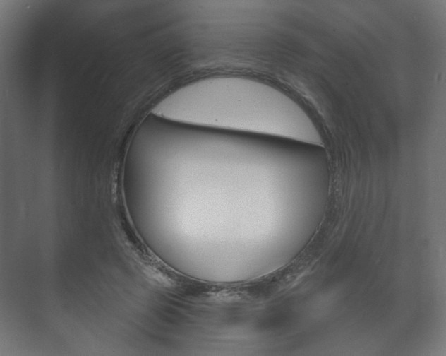 X0000073740545200608031112