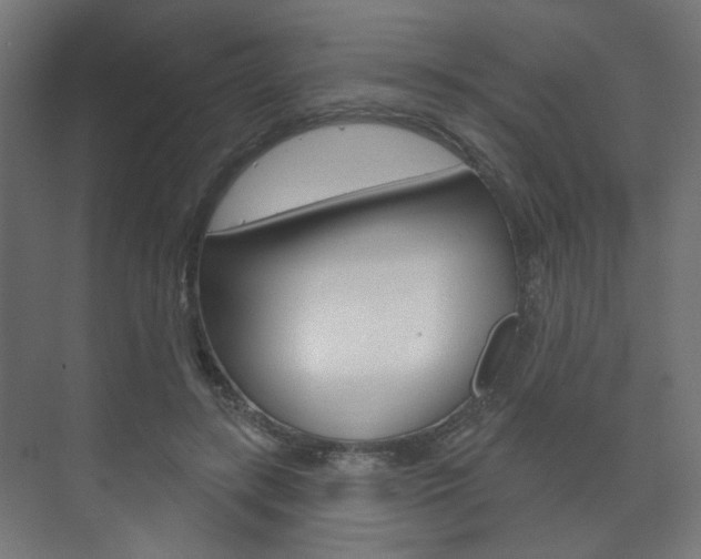 X0000073740547200608031112