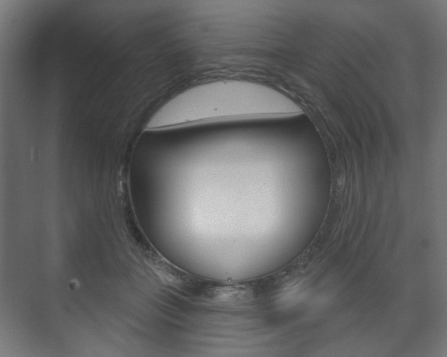 X0000073740555200608031112