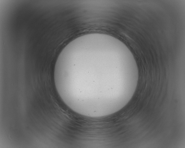 X0000073740556200608031112