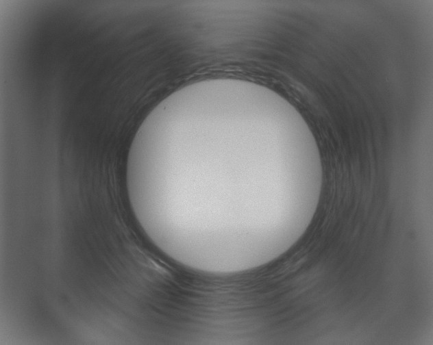 X0000073740558200608031112