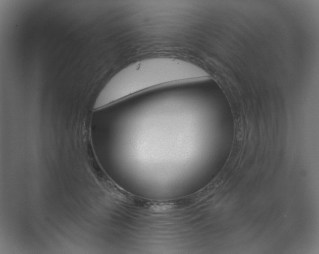 X0000073740560200608031112