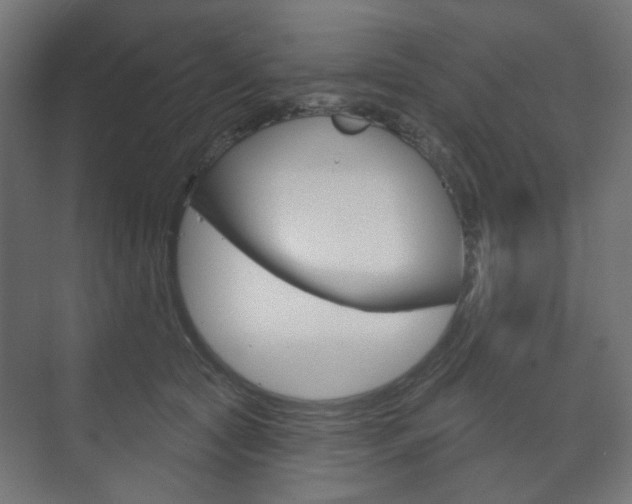 X0000073740561200608031112