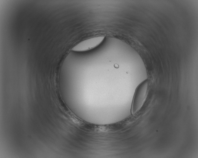 X0000073740565200608031112