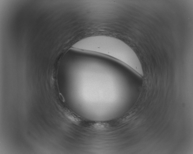 X0000073740566200608031112